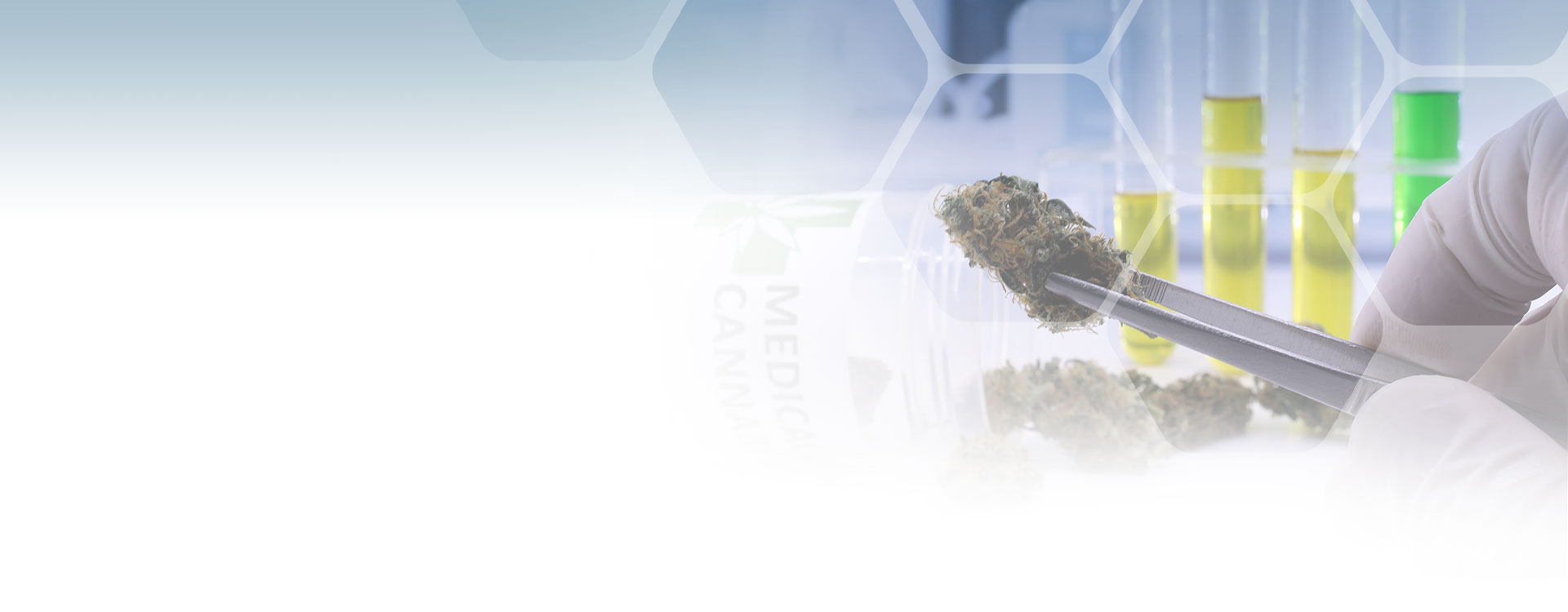 Start Testing - Test Analytica